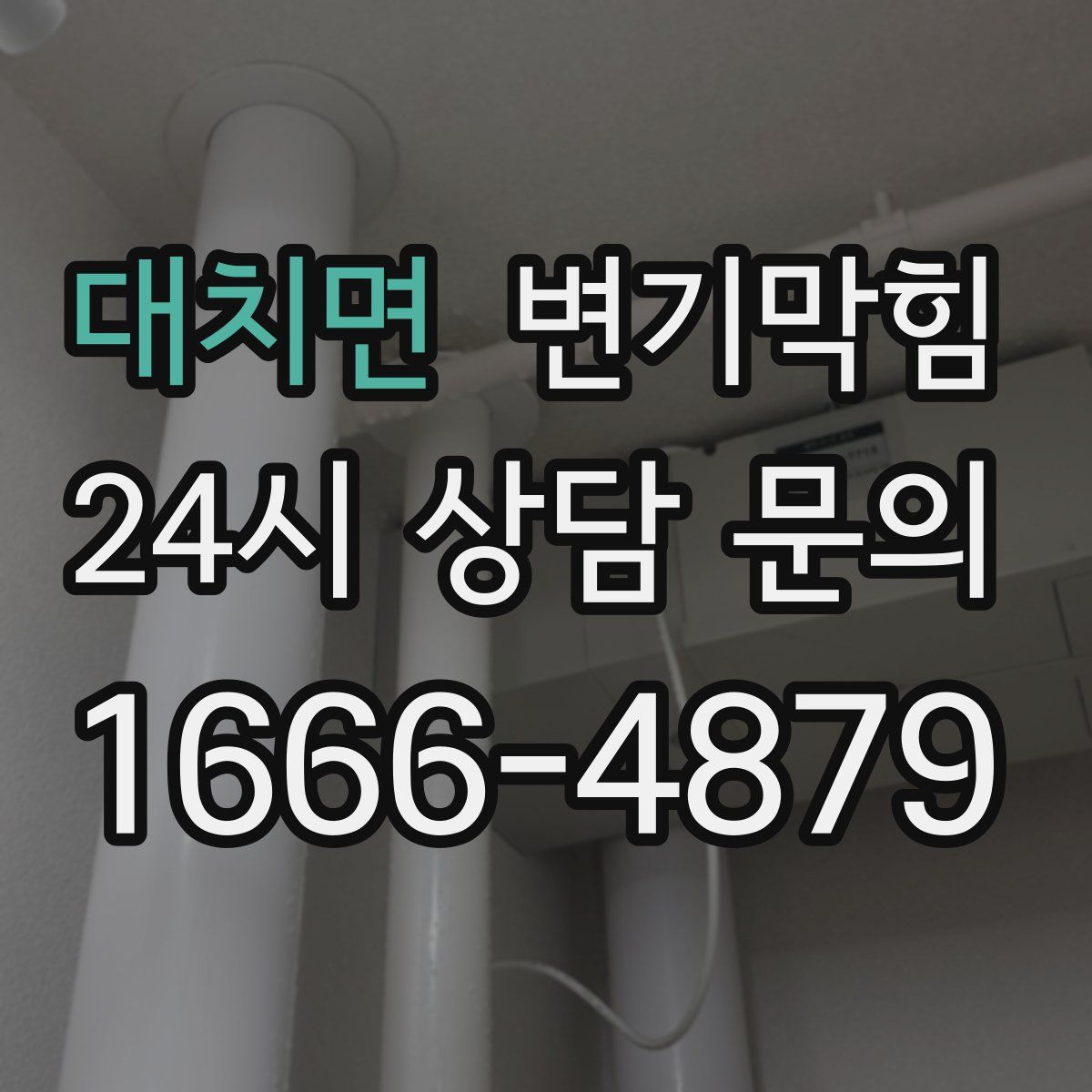 대치면 변기막힘