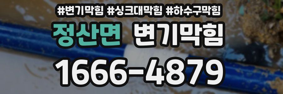 변기막힘
