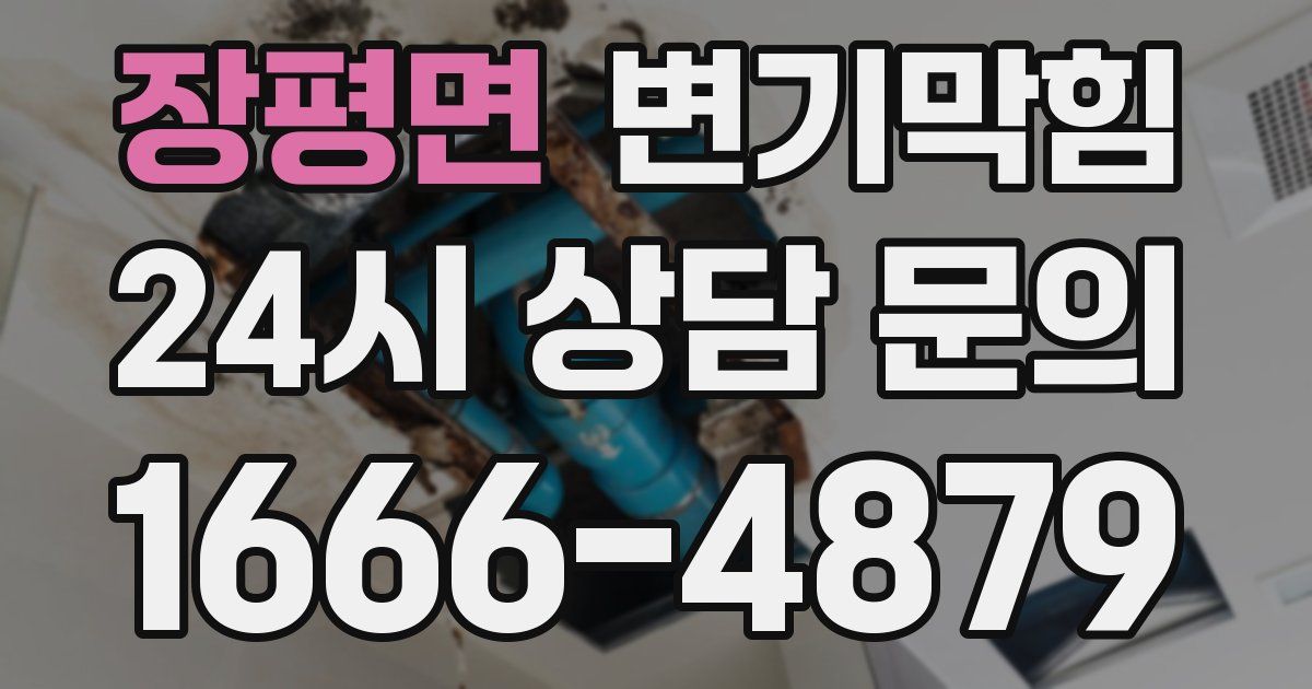 장평면 변기