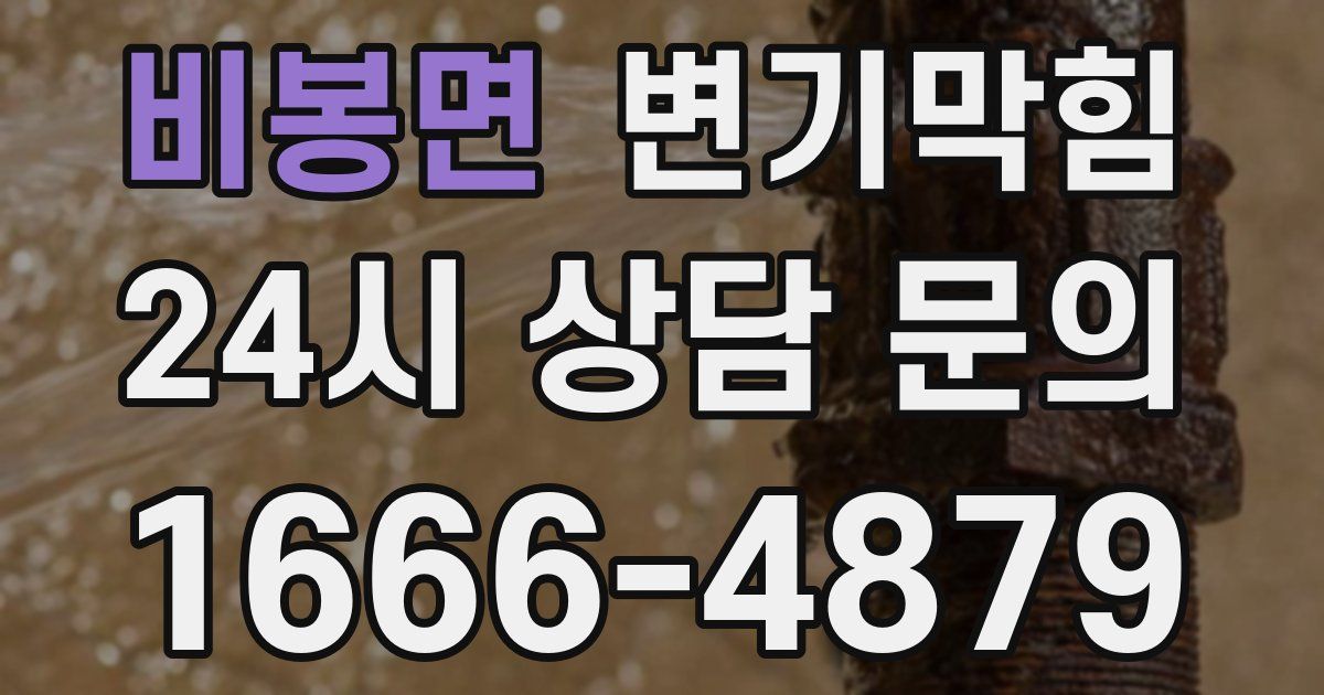 비봉면 변기
