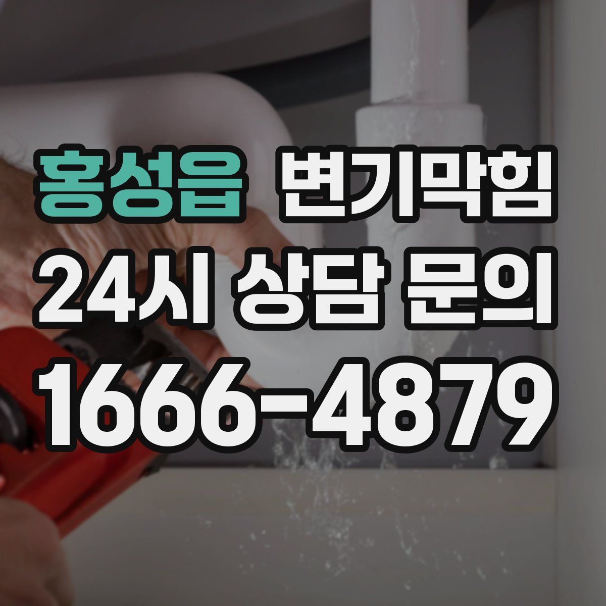 홍성읍 변기막힘