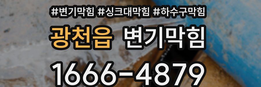 변기막힘