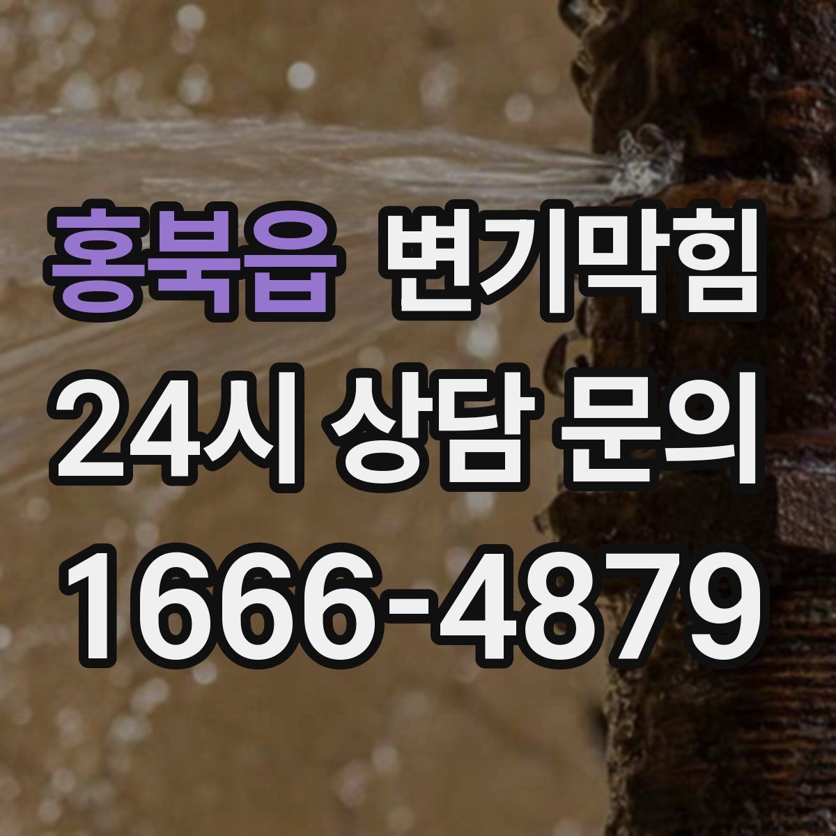 홍북읍 변기막힘