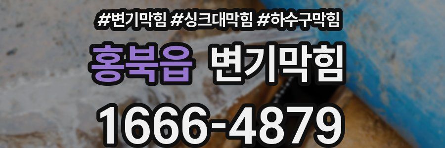 변기막힘