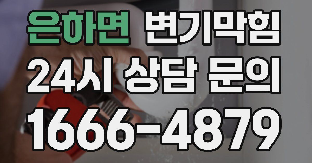 은하면 변기