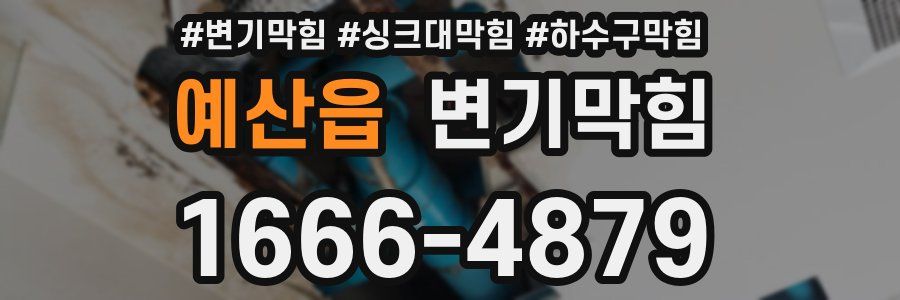변기막힘
