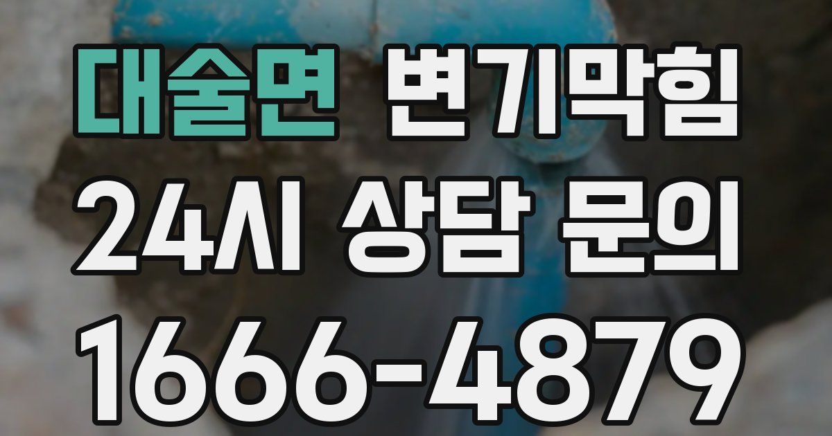 대술면 변기