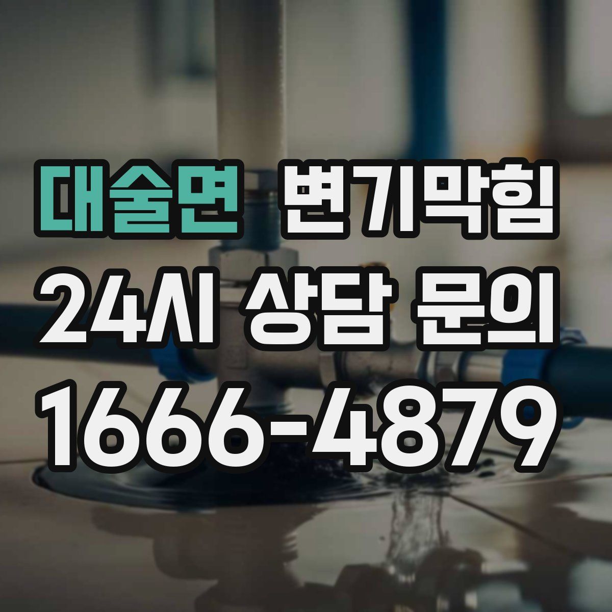 대술면 변기막힘