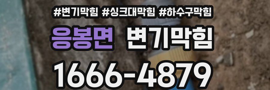 변기막힘