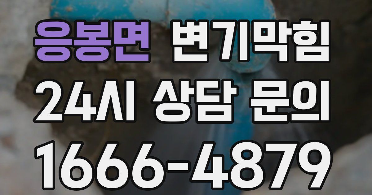 응봉면 변기