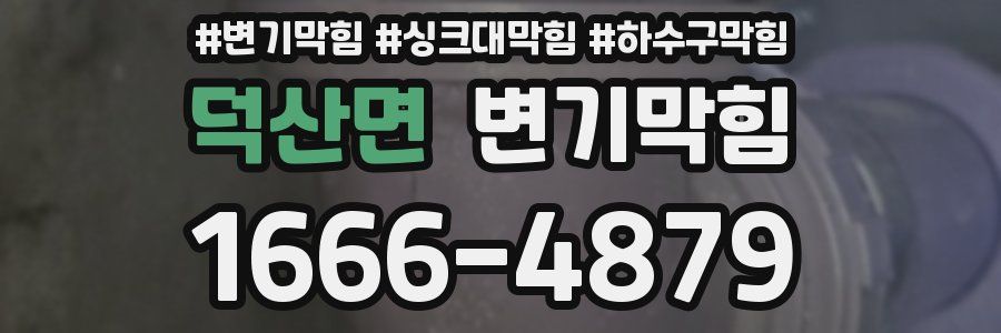 변기막힘