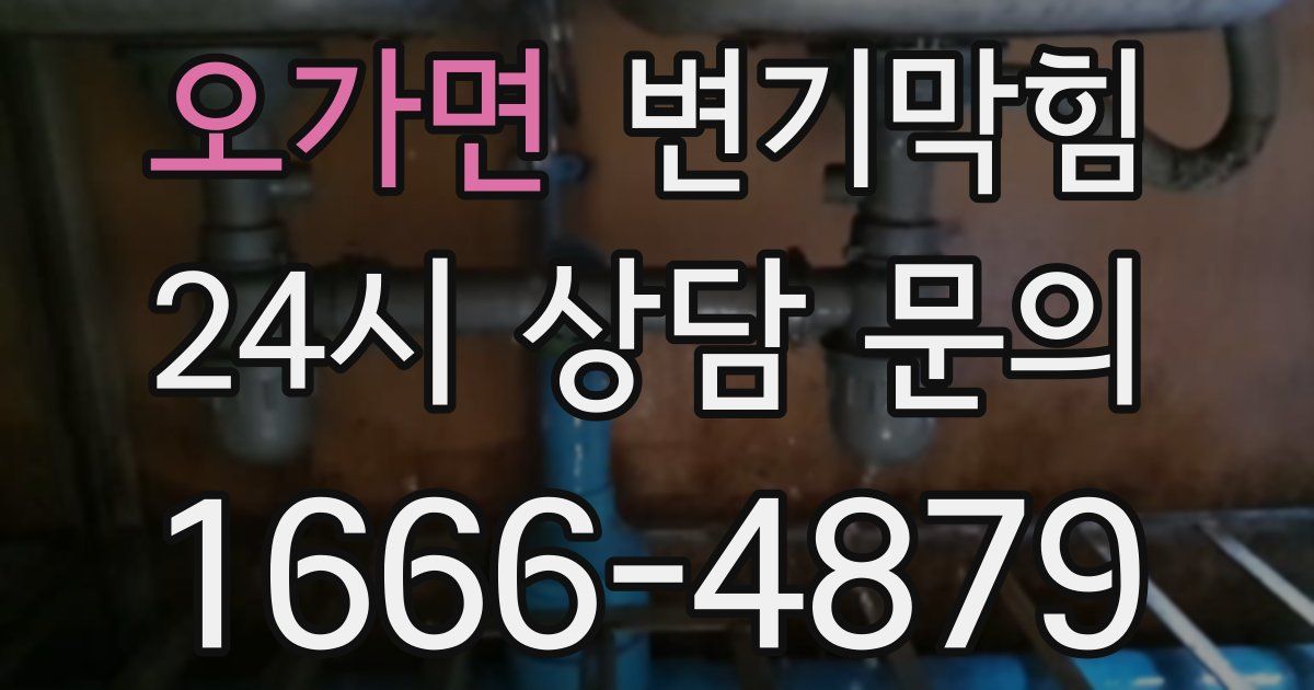 오가면 변기