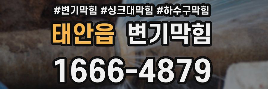 변기막힘