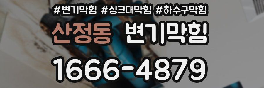 변기막힘