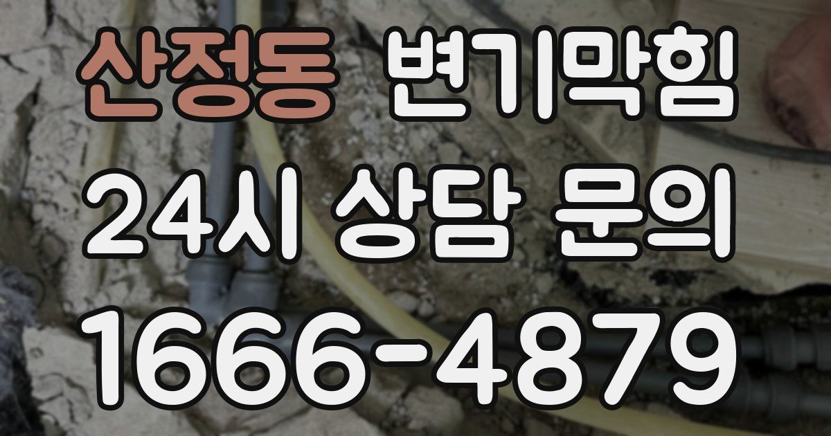 산정동 변기