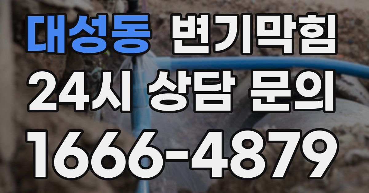 대성동 변기