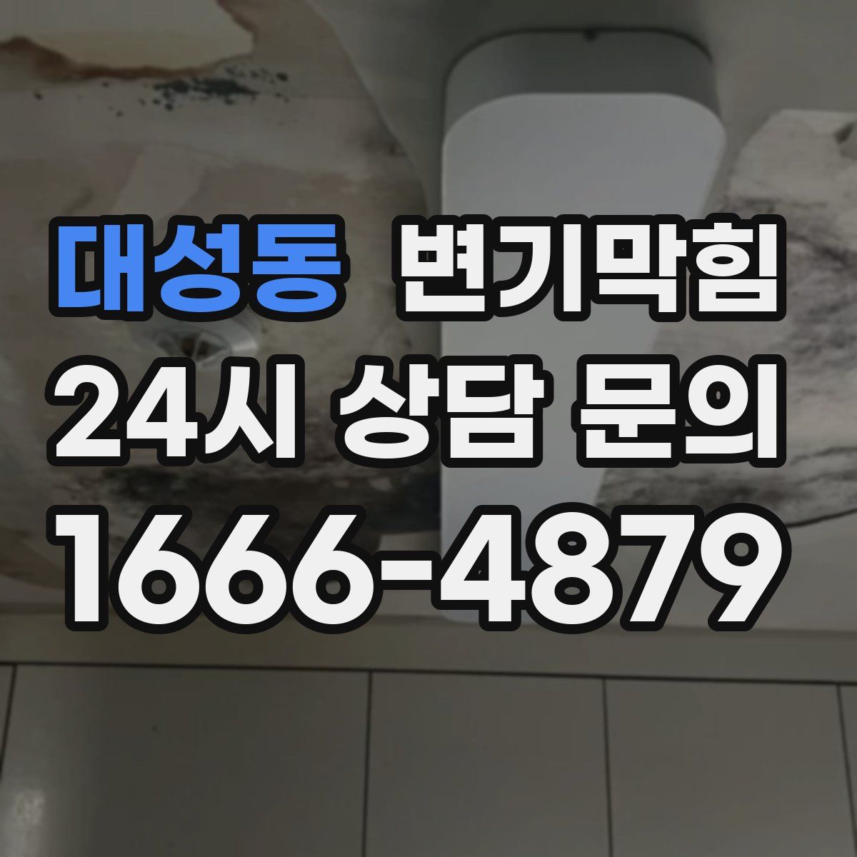 대성동 변기막힘
