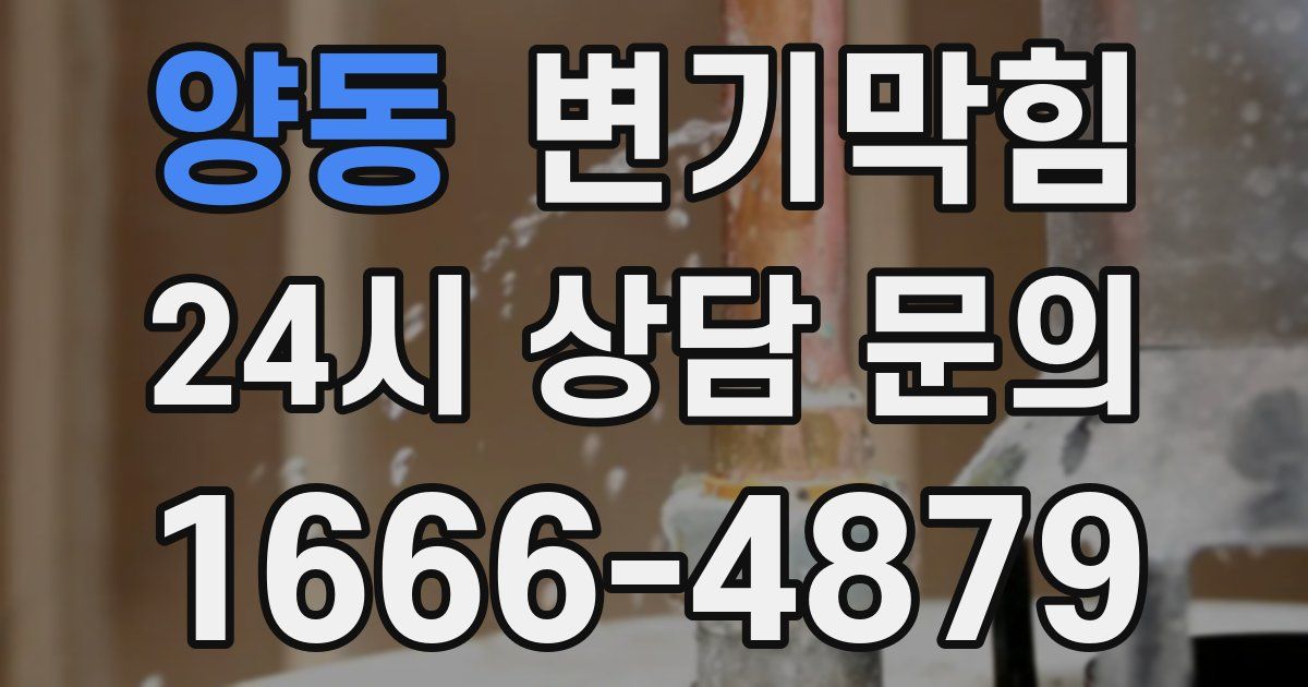 양동 변기
