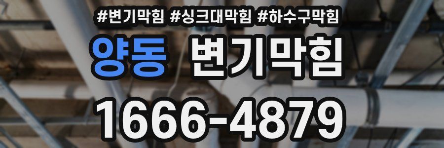 변기막힘
