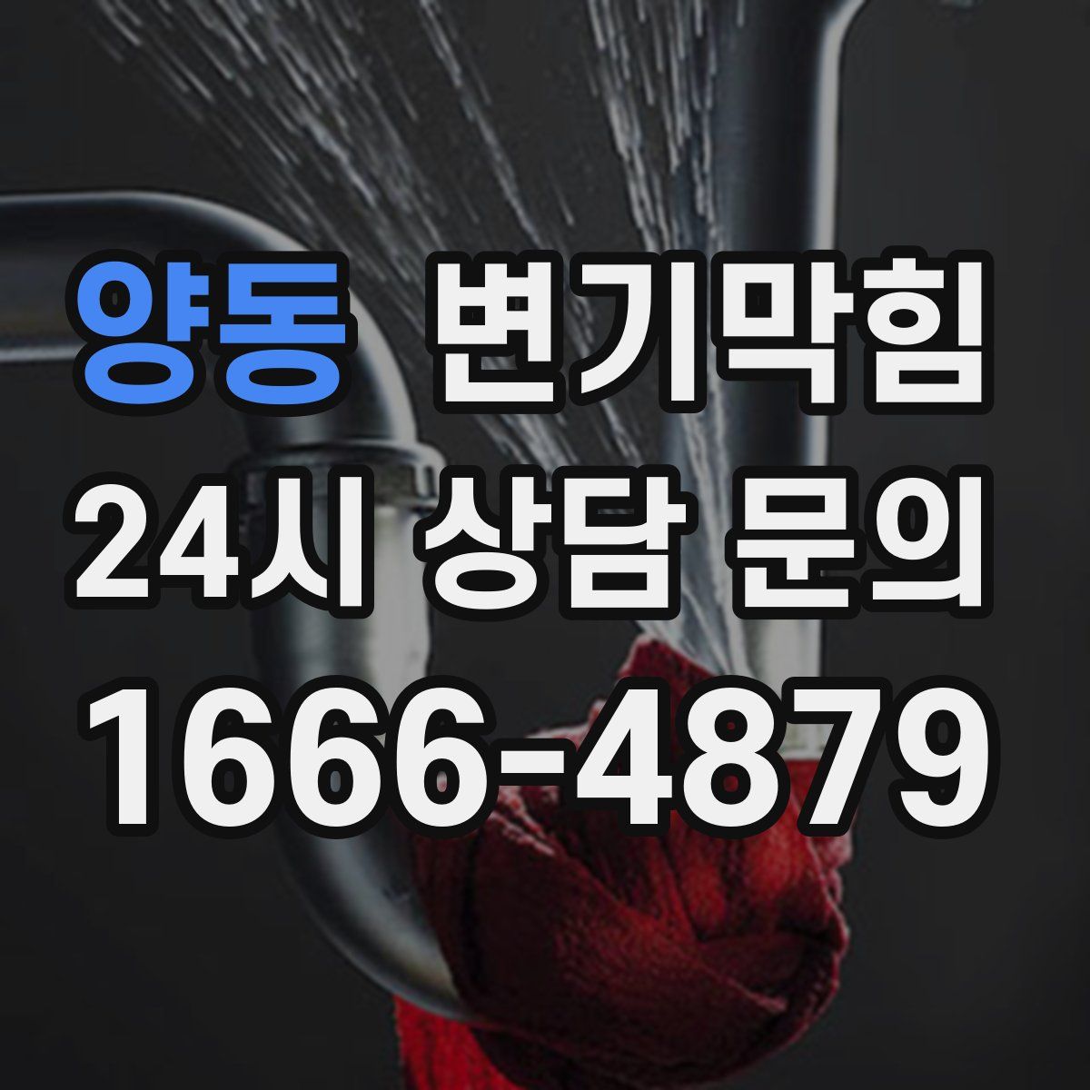 양동 변기막힘