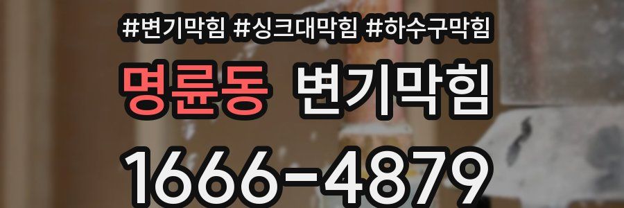 변기막힘