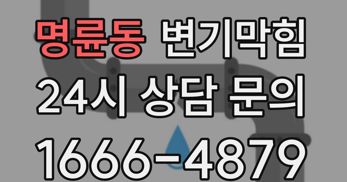 명륜동 변기