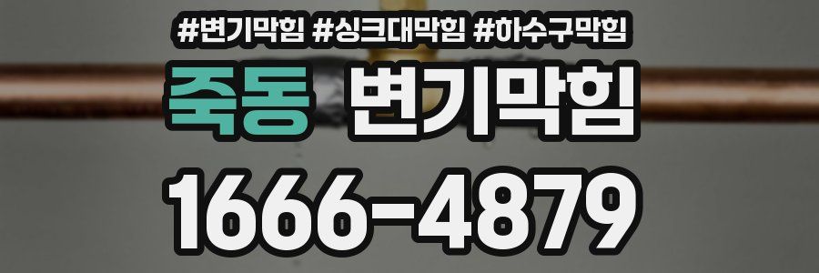 변기막힘