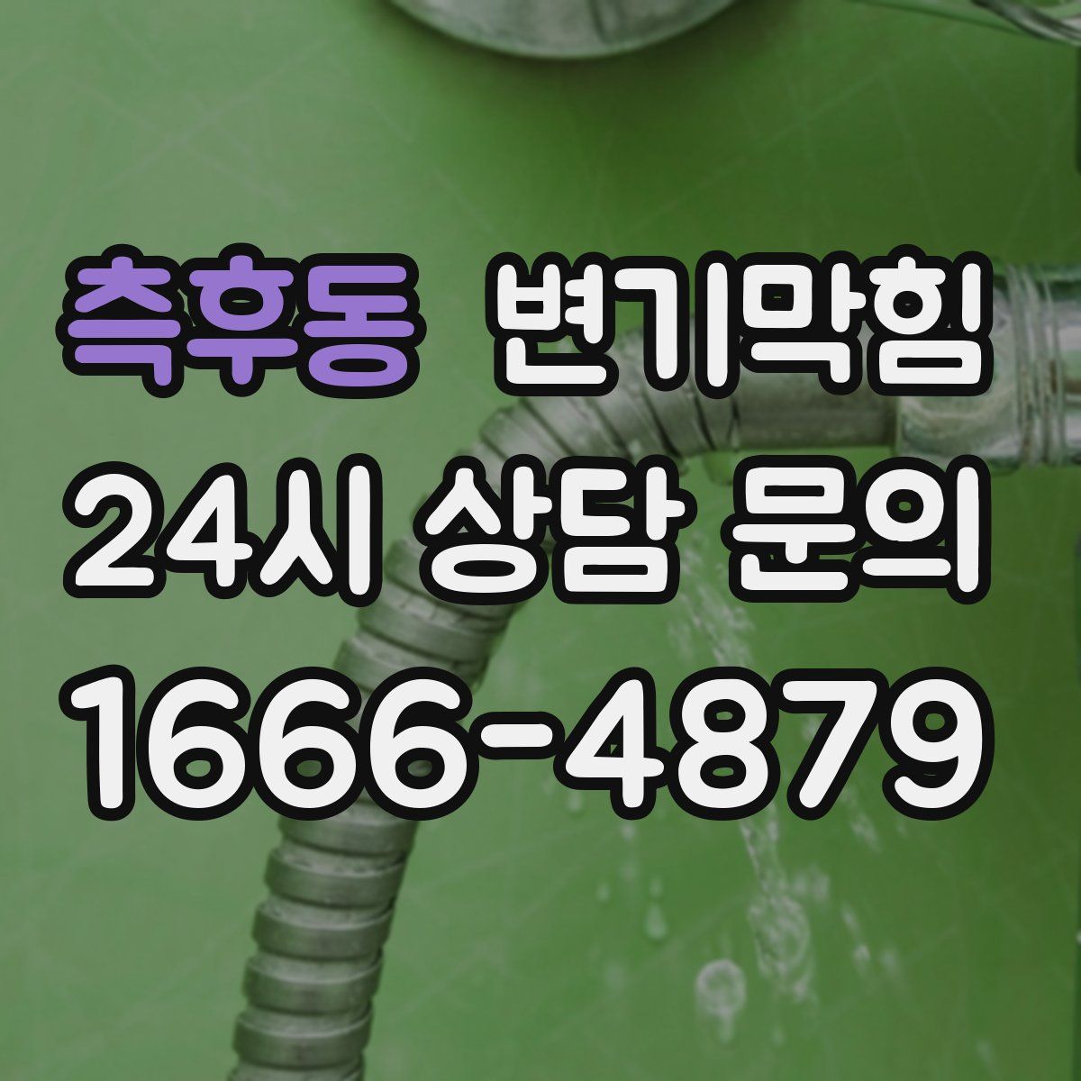 측후동 변기막힘