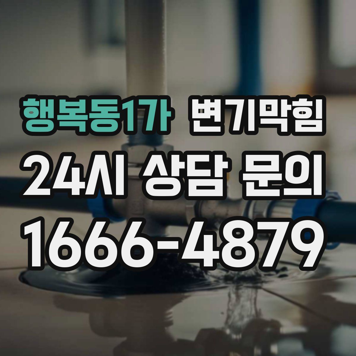 행복동1가 변기막힘