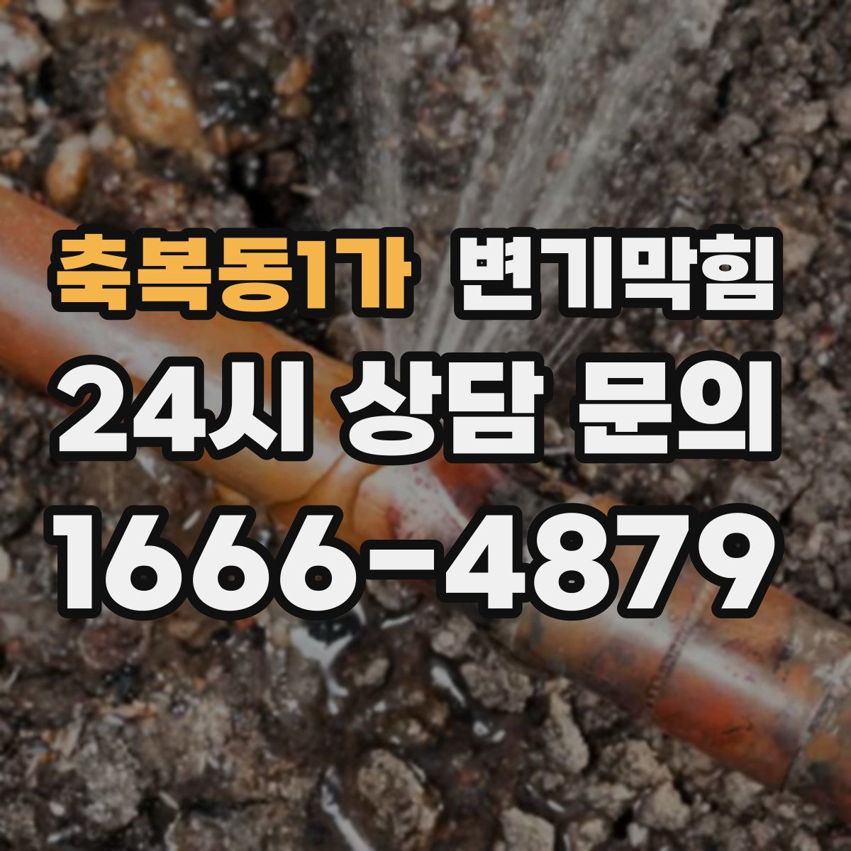 축복동1가 변기막힘