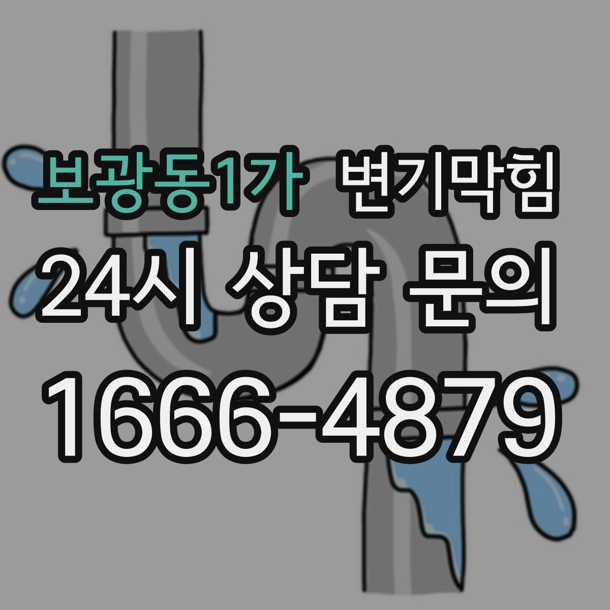보광동1가 변기막힘
