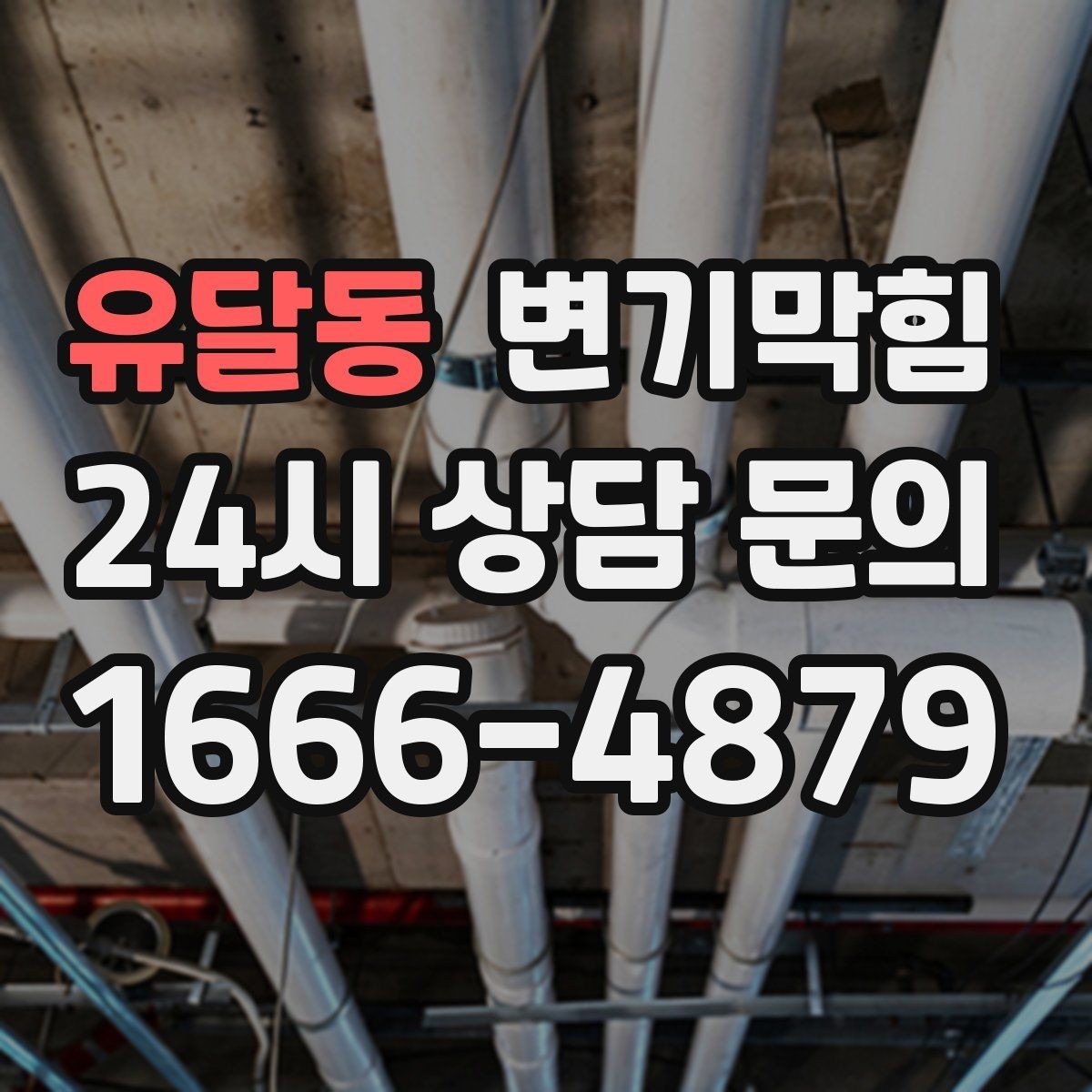 유달동 변기막힘 식당 배수구막힘 그리스트 연동 점검
