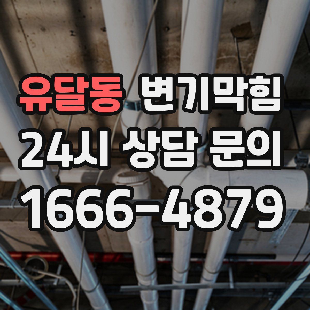 유달동 변기막힘
