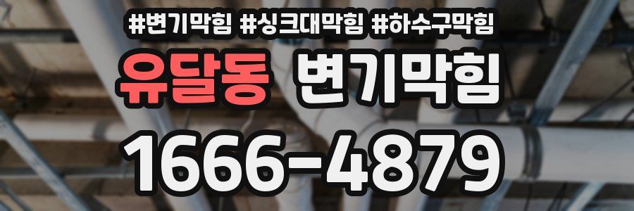 변기막힘