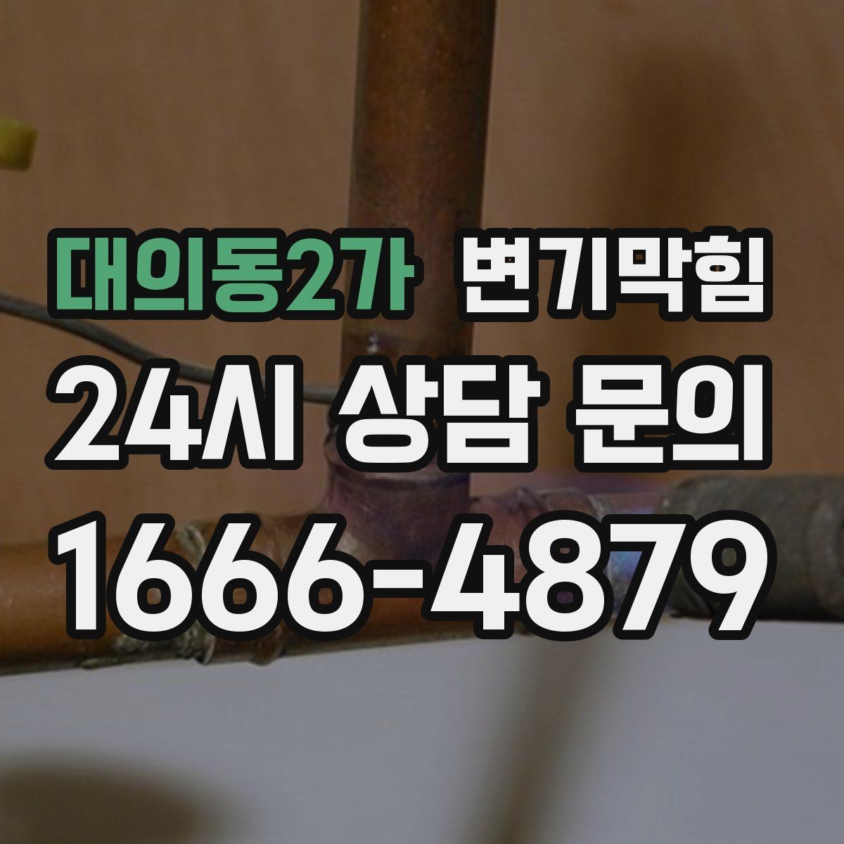 대의동2가 변기막힘 카페 화장실역류 오픈 지연 없이 해결