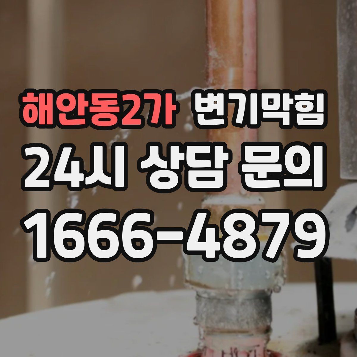 해안동2가 변기막힘 변기 막혔을 때 장시간 방치의 위험성