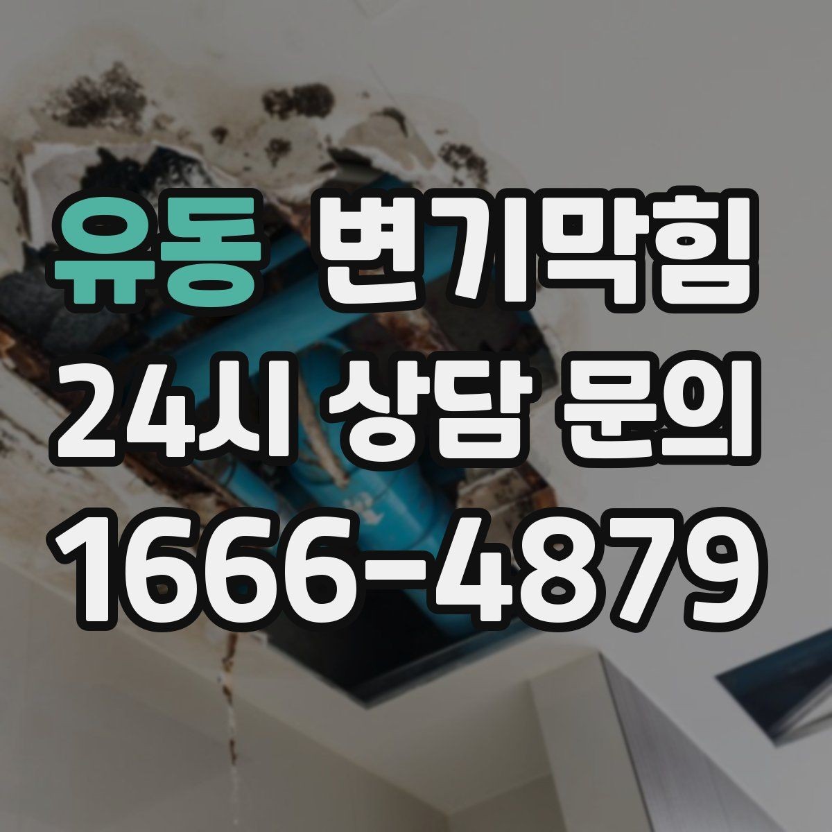 유동 변기막힘 변기뚫는비용 지역 차이 비교 포인트