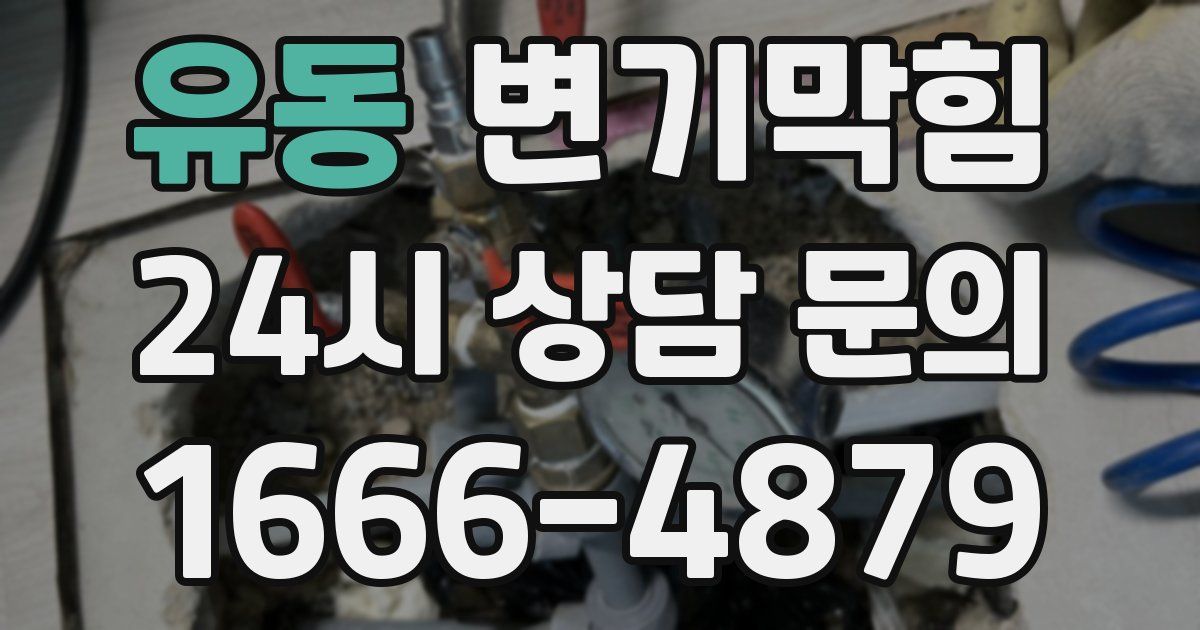 유동 변기