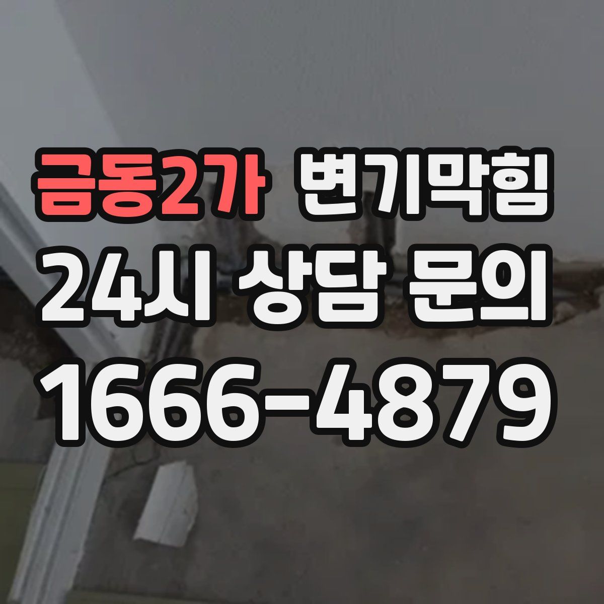금동2가 변기막힘
