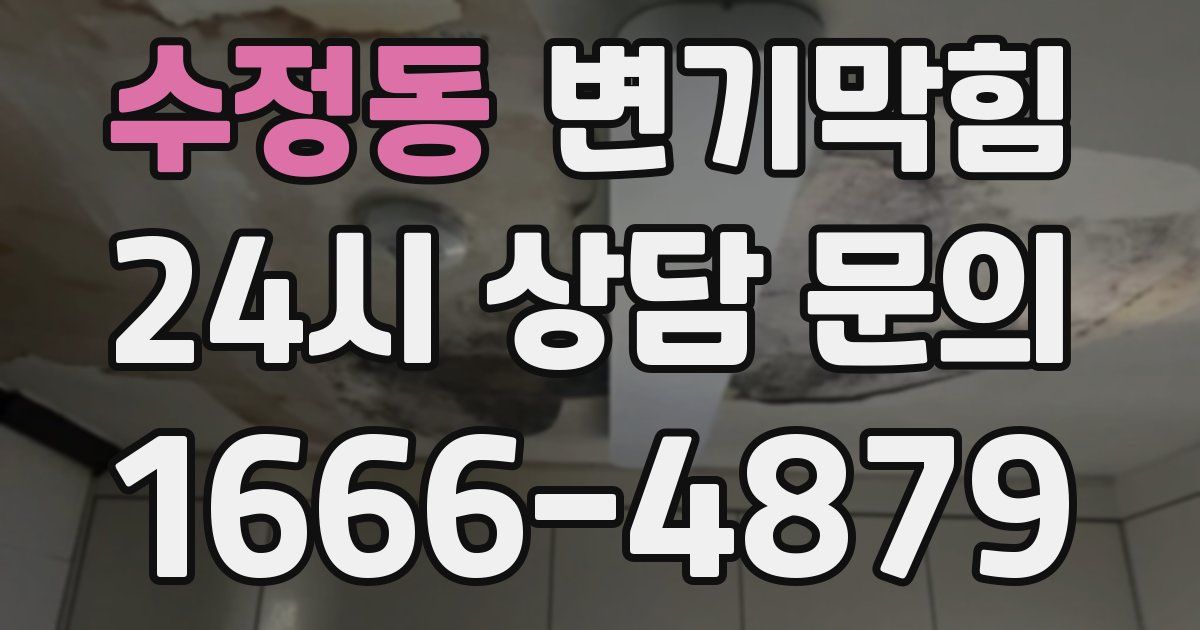 수정동 변기