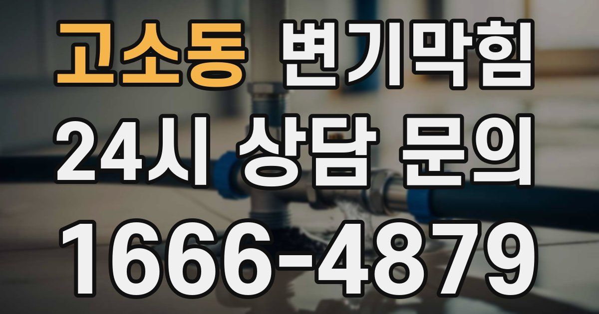 고소동 변기