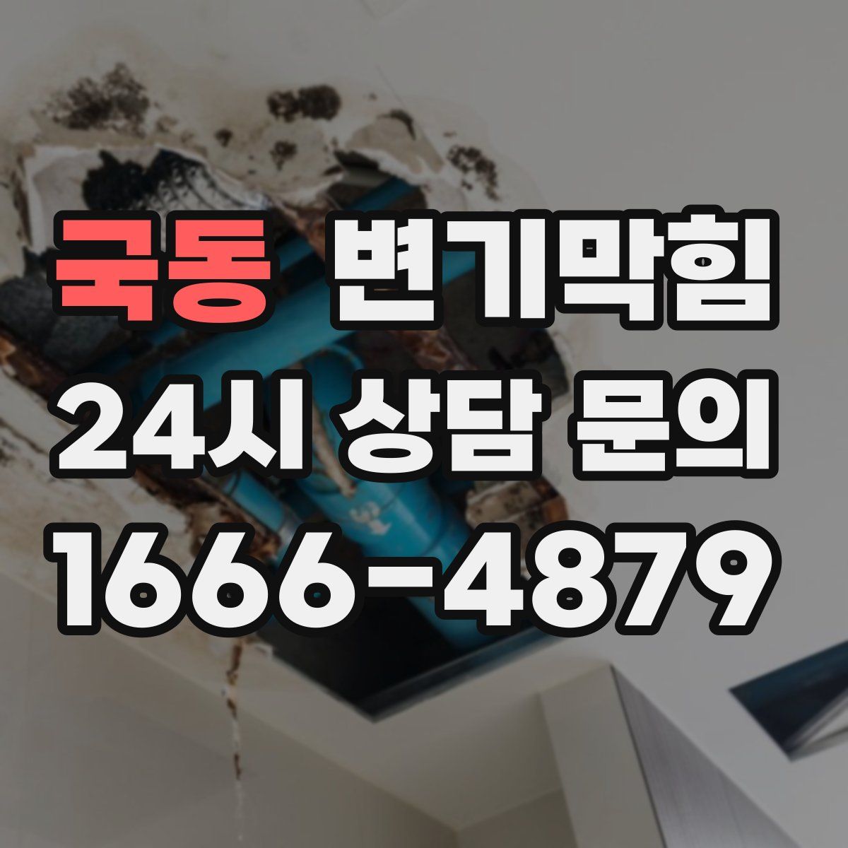 국동 변기막힘