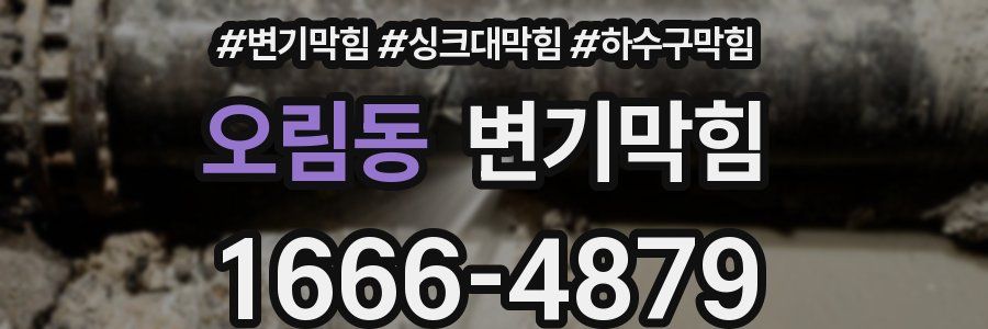 변기막힘
