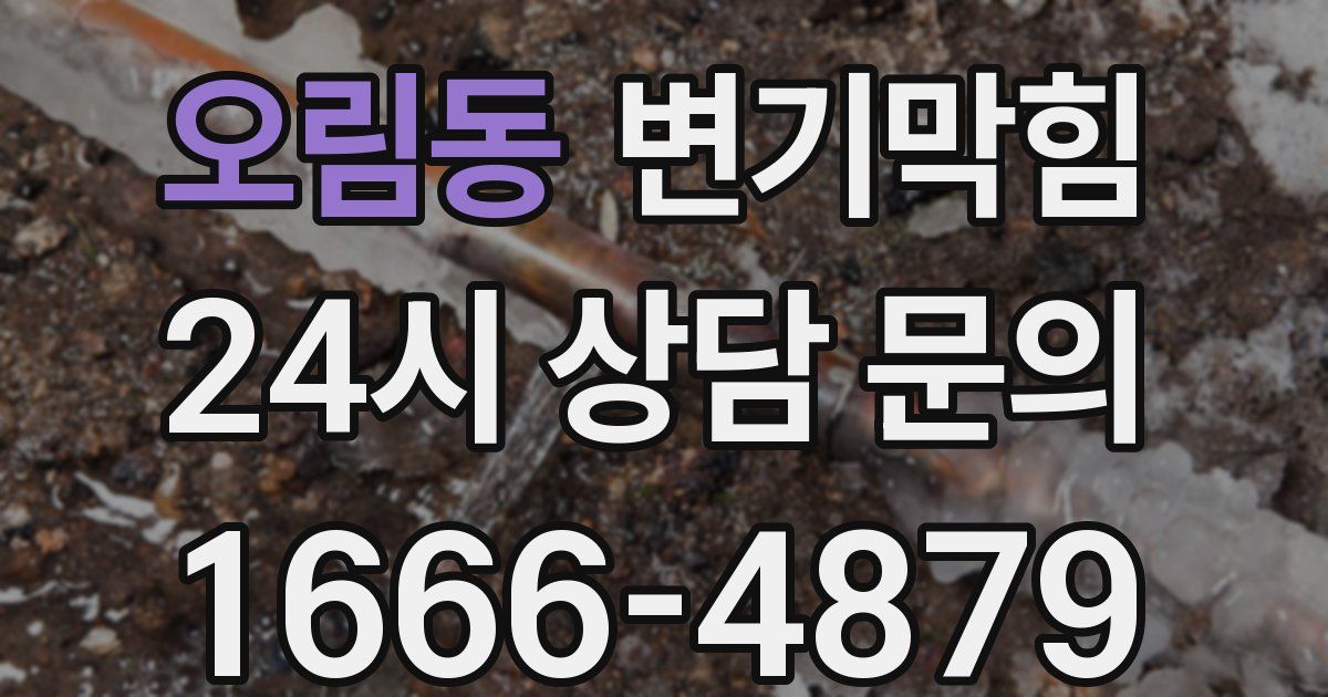 오림동 변기