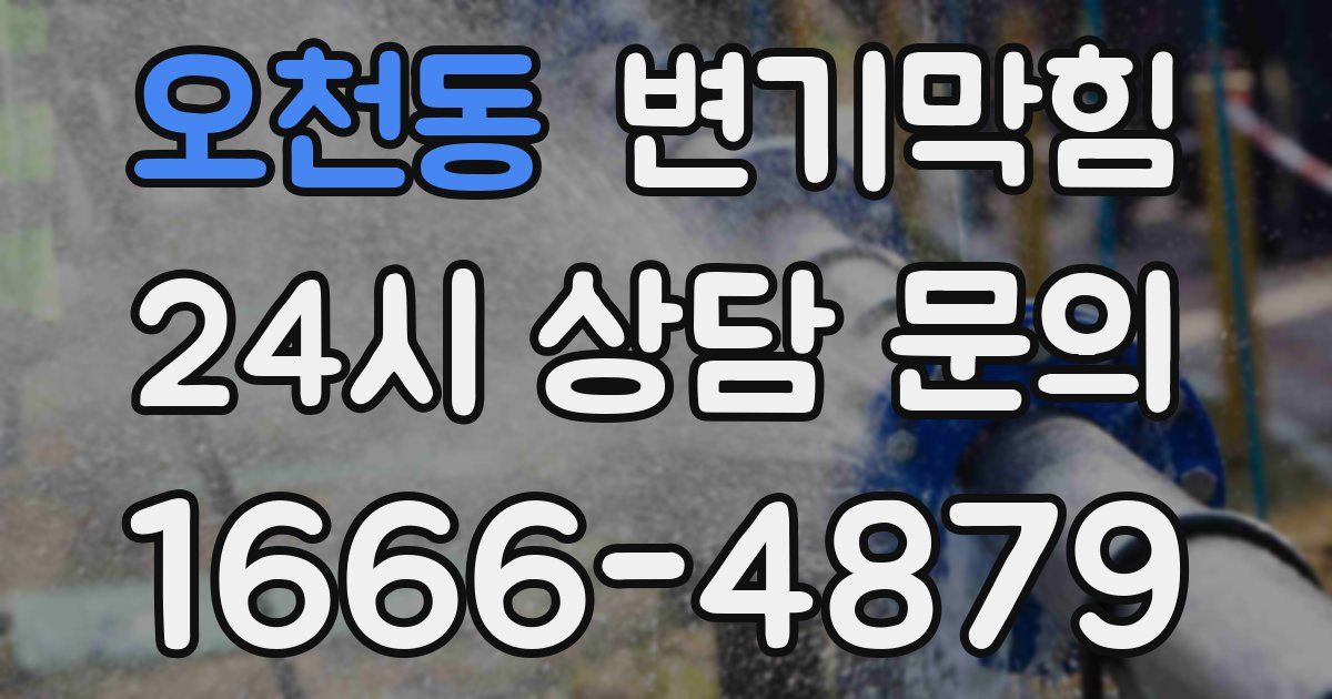 오천동 변기