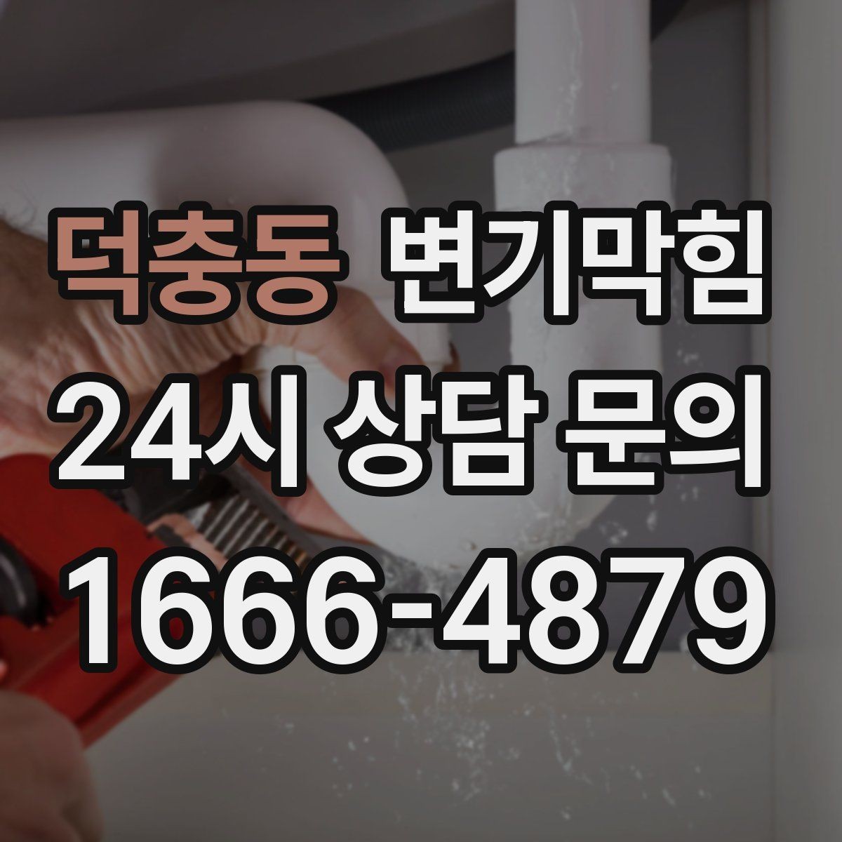 덕충동 변기막힘 사무실 배수구막힘 점심 러시 전 완료