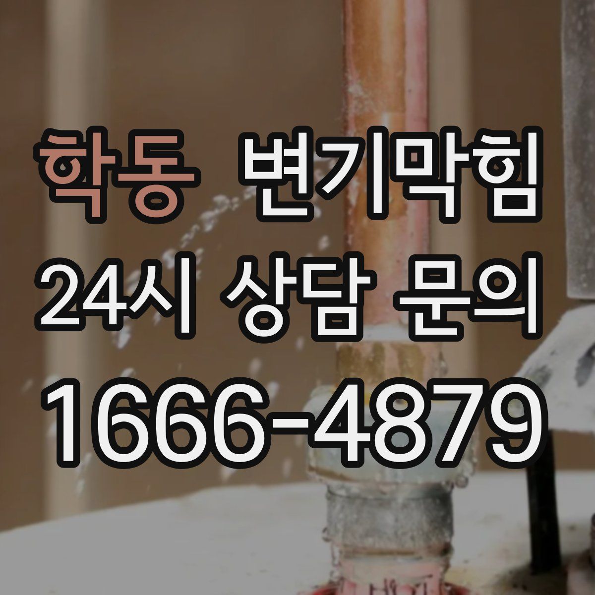 학동 변기막힘