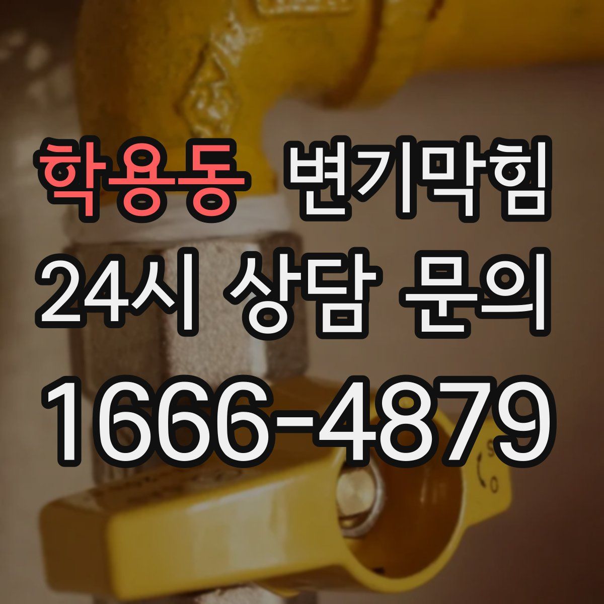 학용동 변기막힘