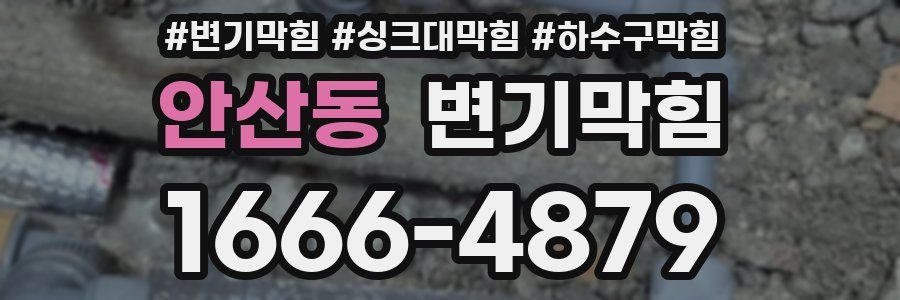 변기막힘