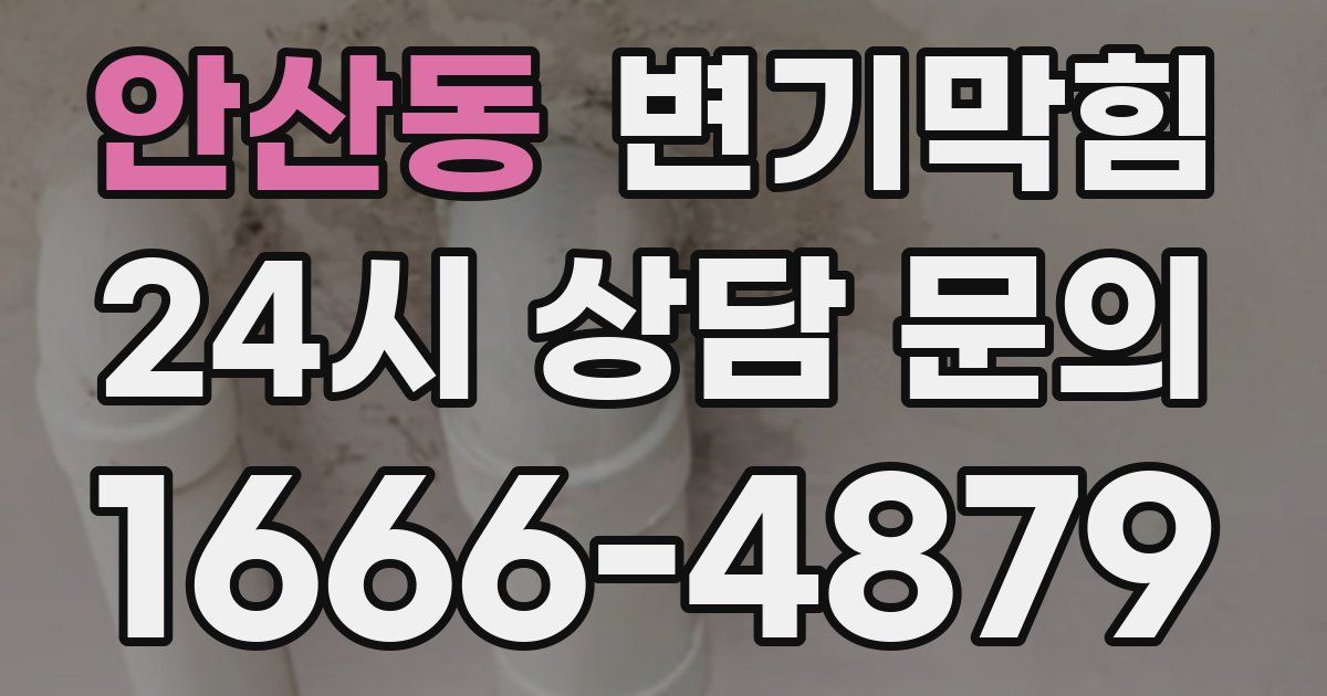 안산동 변기